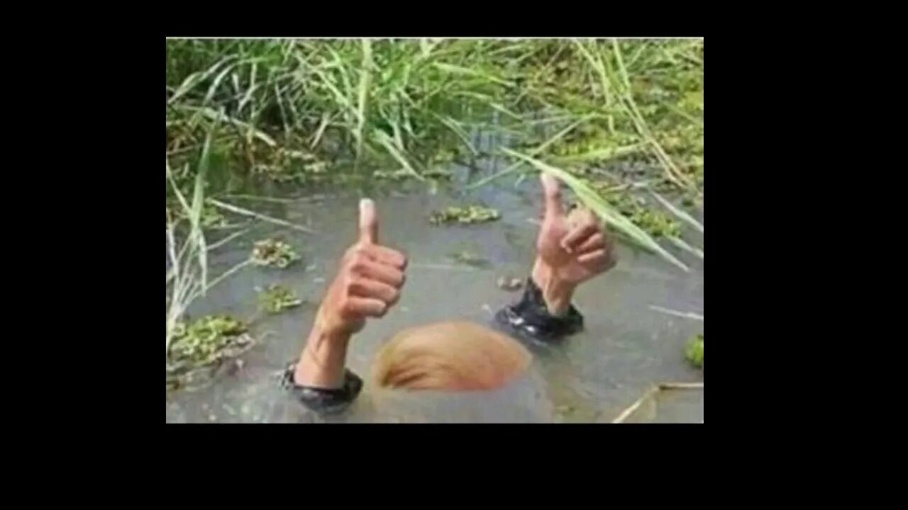 Draining The Swamp