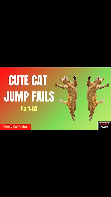 Amazing !!! funny videos about cats