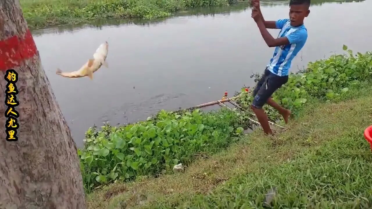 The little boy went fishing by the river and brought home big carp to improve his food +14