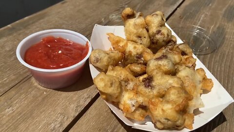 Things To Do: Gizzard Fest under way in Potterville