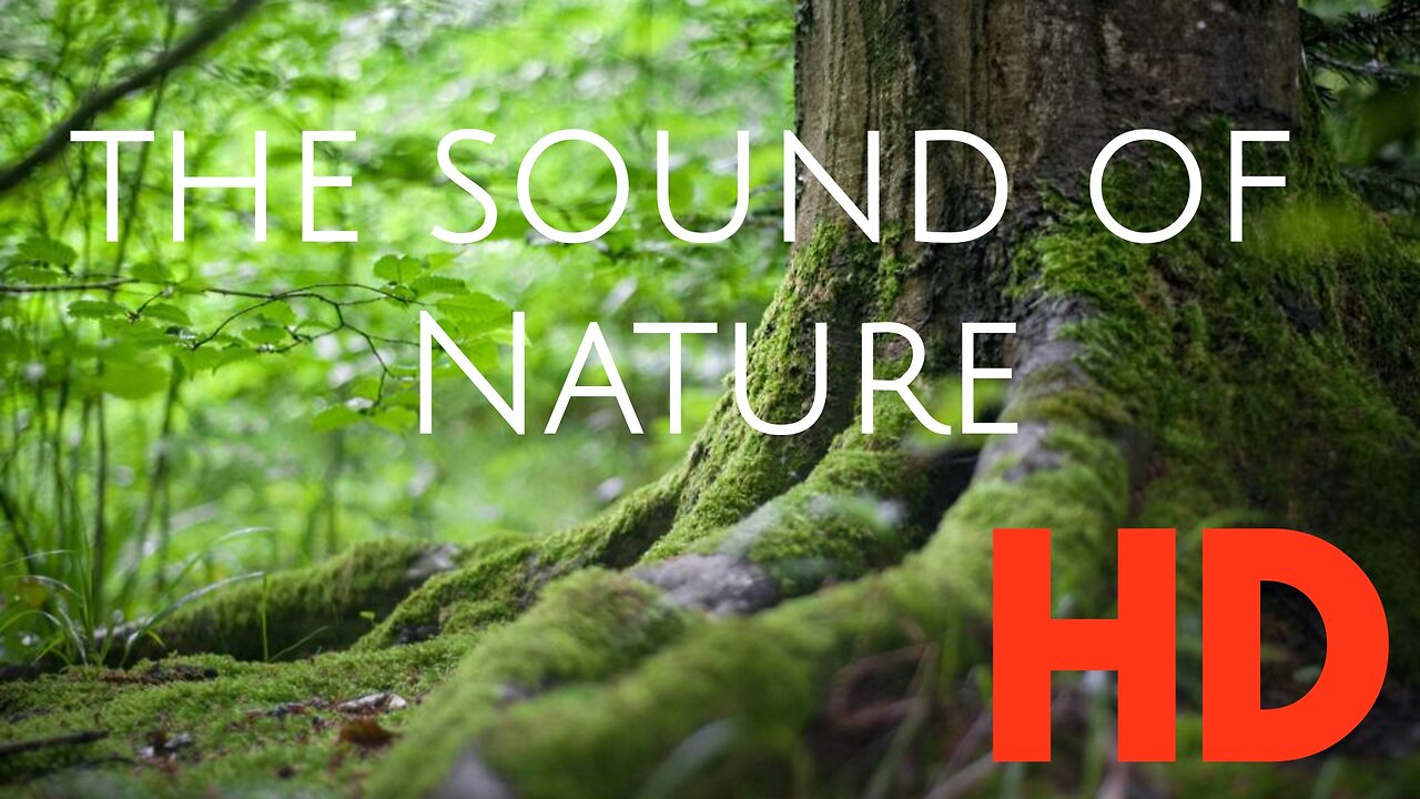 8D Natural Sounds Relax Nature ASMR - Use headphones - nightingale, chatter, etc.