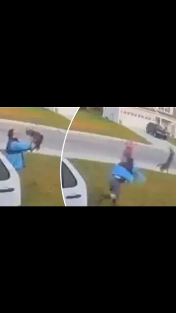 MAN SAVES WIFE FROM BOBCAT (not LEOPARD OR BEAR or LION) ATTACK- ALMOST GONE WRONG!