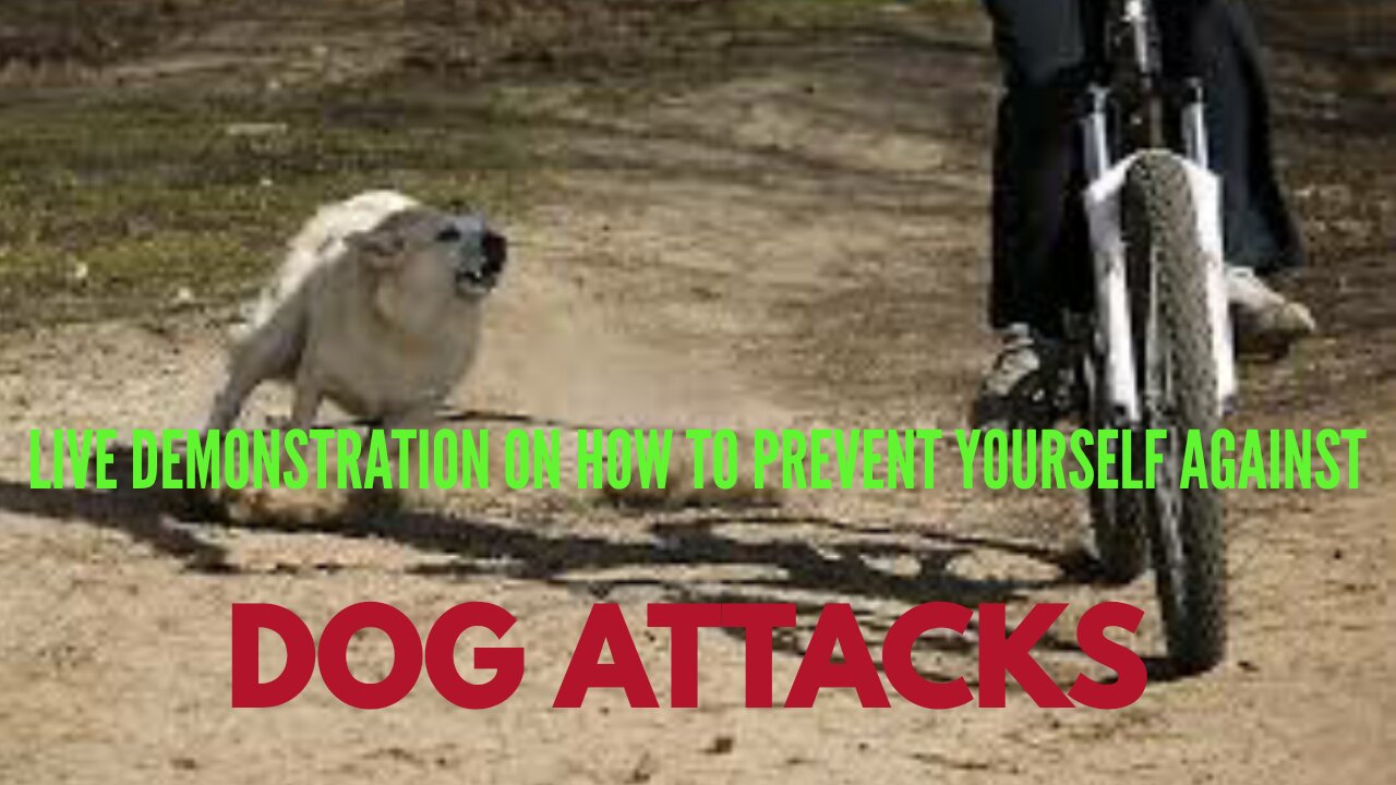 Defend Yourself Against Dog Attack