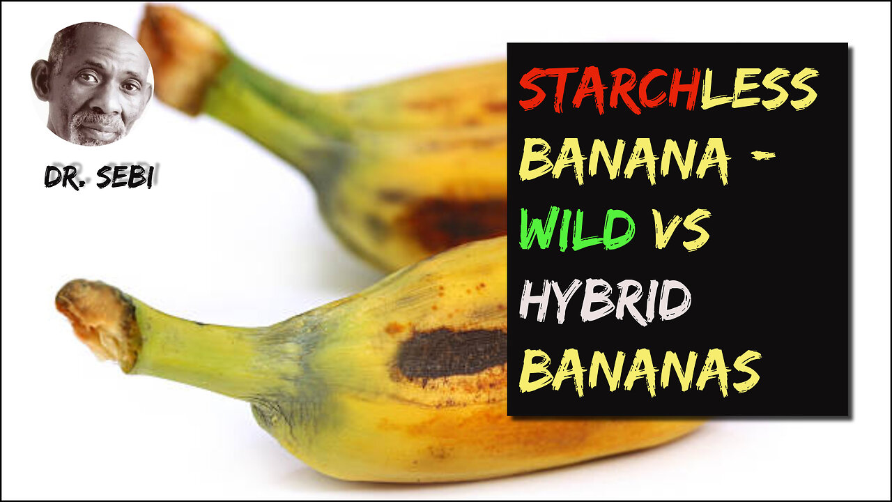 DR SEBI - THIS IS A STARCH-LESS BANANA - Difference Between Wild & Hybrid Banana Species