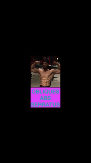 SERRATUS #shorts