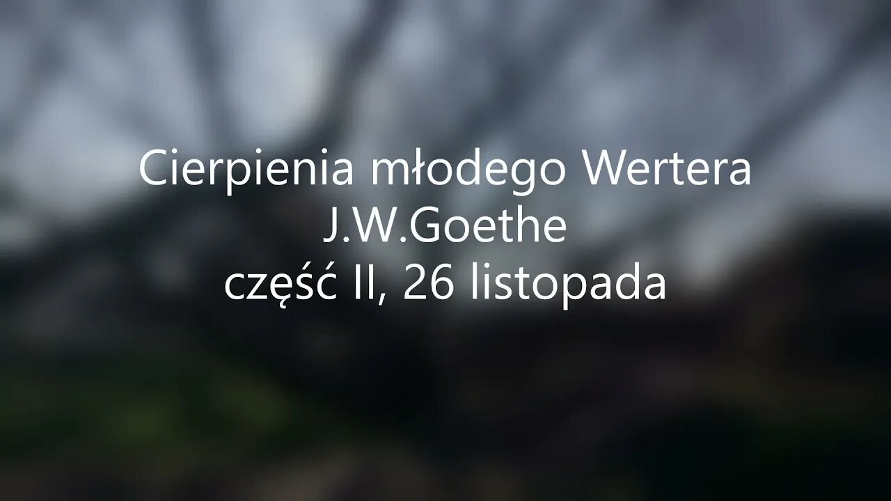 Cierpienia młodego Wertera-J.W.Goethe część II, 26 listopada
