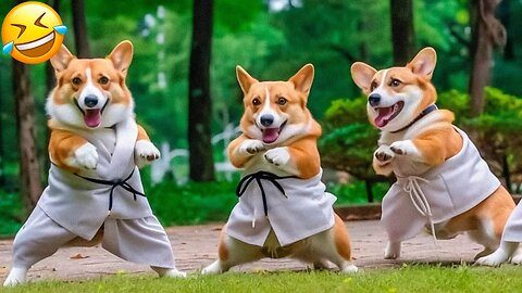 3 Hours of Hilarious Animals 😅 Funniest Dogs & Cats Of The Year 🐾