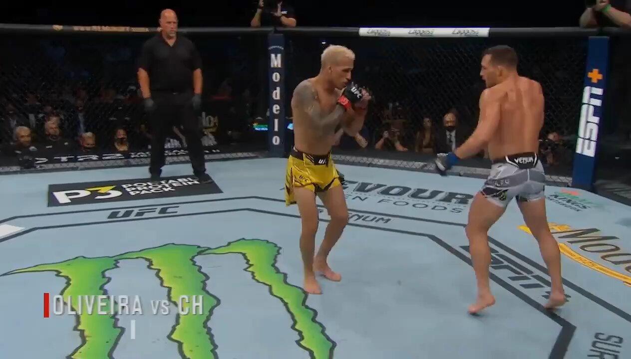 The best knockout of UFC history.