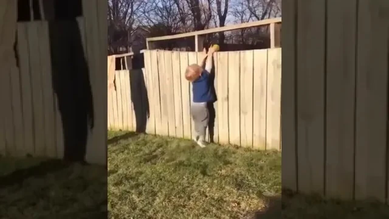 Neighbour's dog and little boy play fetch over fence