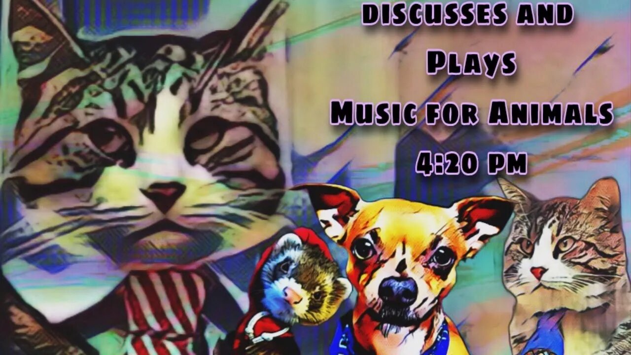 Steve Cutler Live discusses & Plays Music for Animals