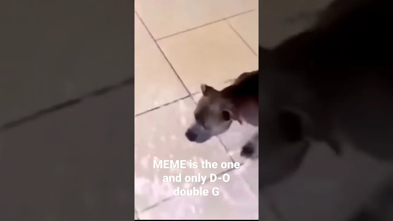 MEME is the one and only D-O double G #shorts #trending