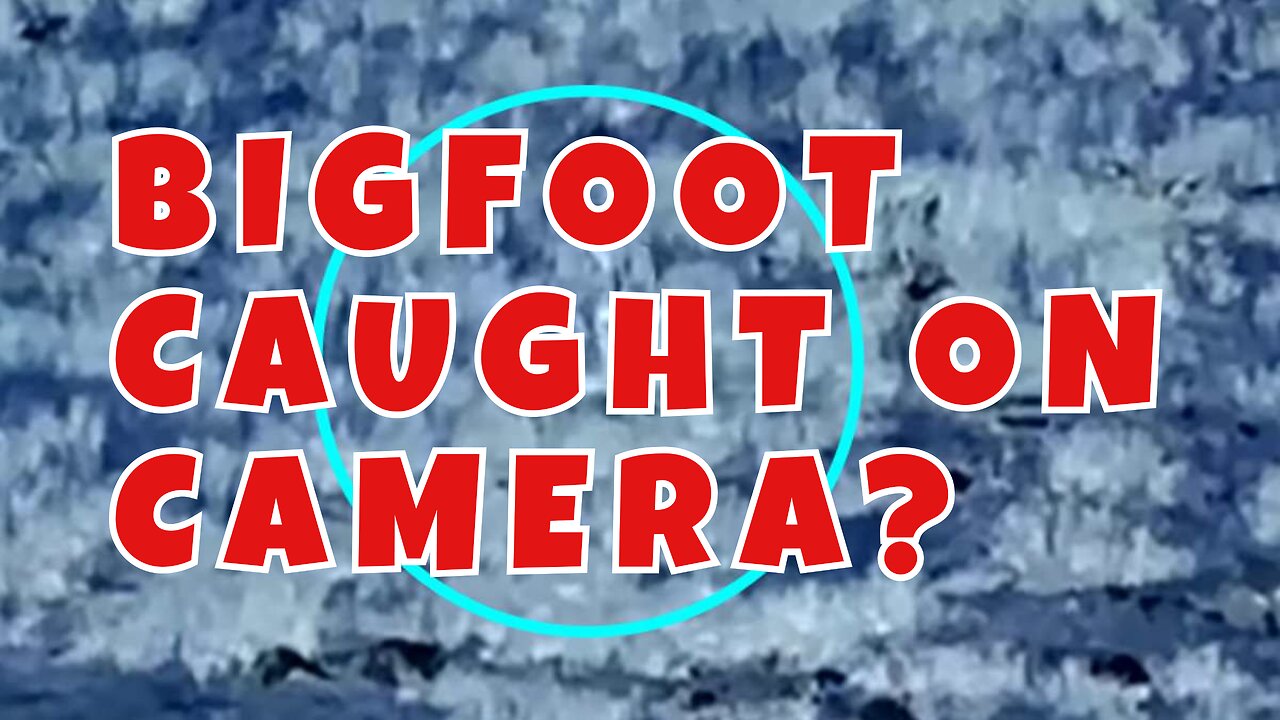 BREAKING: BIG FOOT CAUGHT ON CAMERA?