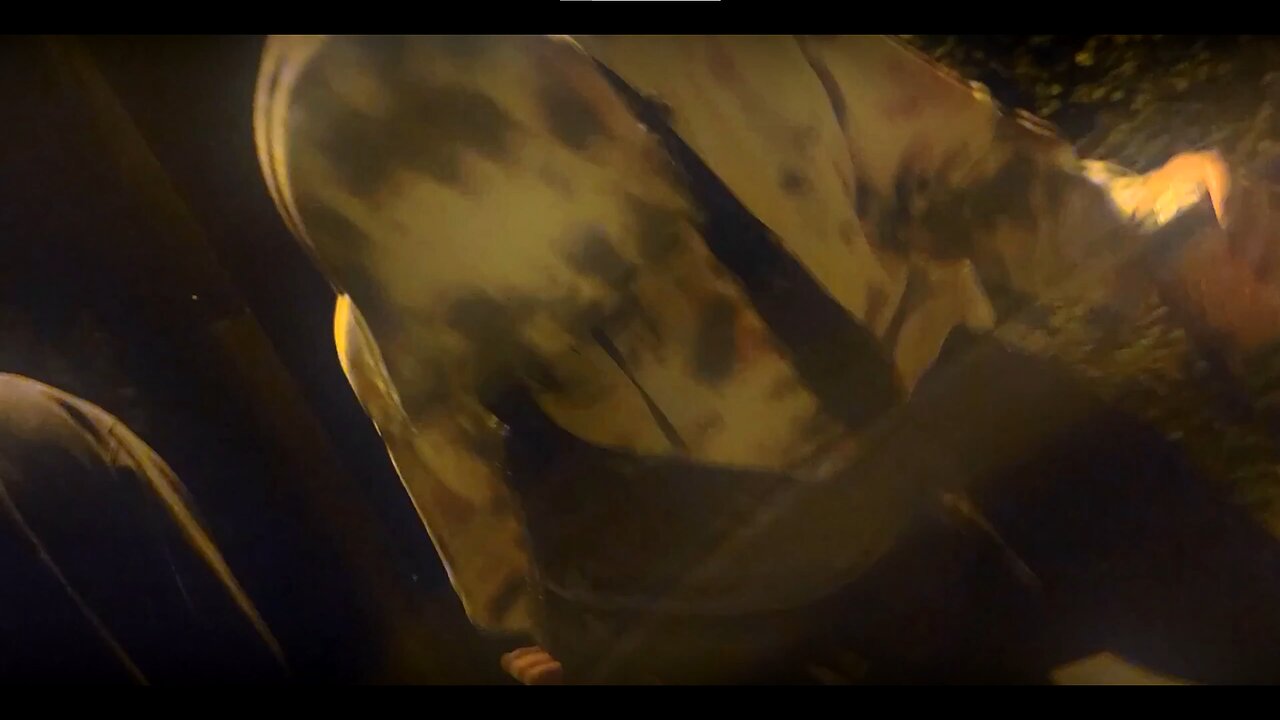 @KIDDEINE612 x @raye.612 - WOW! / 3NTROPY (OFFICIAL VIDEO)
