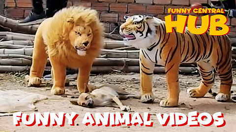 Funny animal videos | Funny prank on dog with fake lion and tiger.