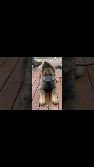 QUANDO SUA NAMORADA ACHA QUE VOCÊ CORTA PROS DOIS LADOS🤣🤣🤣