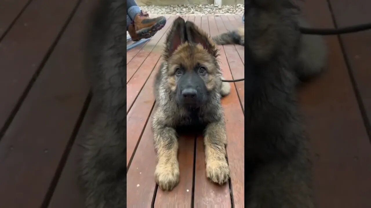 QUANDO SUA NAMORADA ACHA QUE VOCÊ CORTA PROS DOIS LADOS🤣🤣🤣