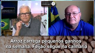 Arroz carrega pequenos ganhos na semana, Feijão segue na calmaria