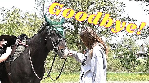 Saying Goodbye To Gabby The Young Equestrian