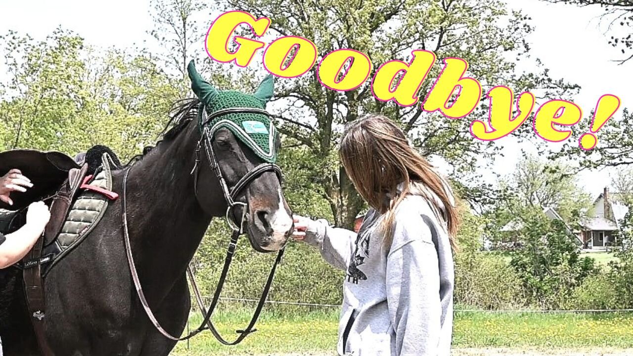 Saying Goodbye To Gabby The Young Equestrian