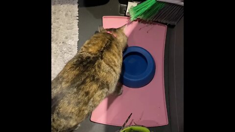 Rabbit fur mouse toy