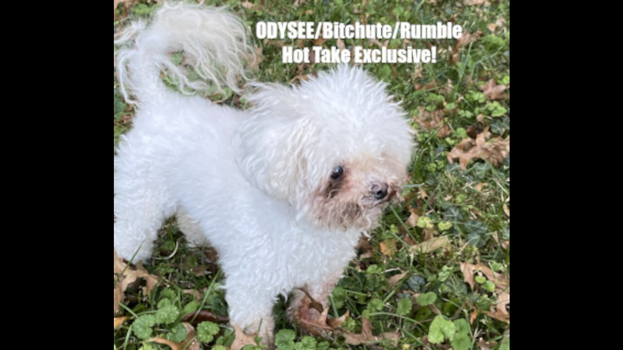 Rumble/Bitchute/Odysee Hot Take Exclusive: Dec 17th News Blast!