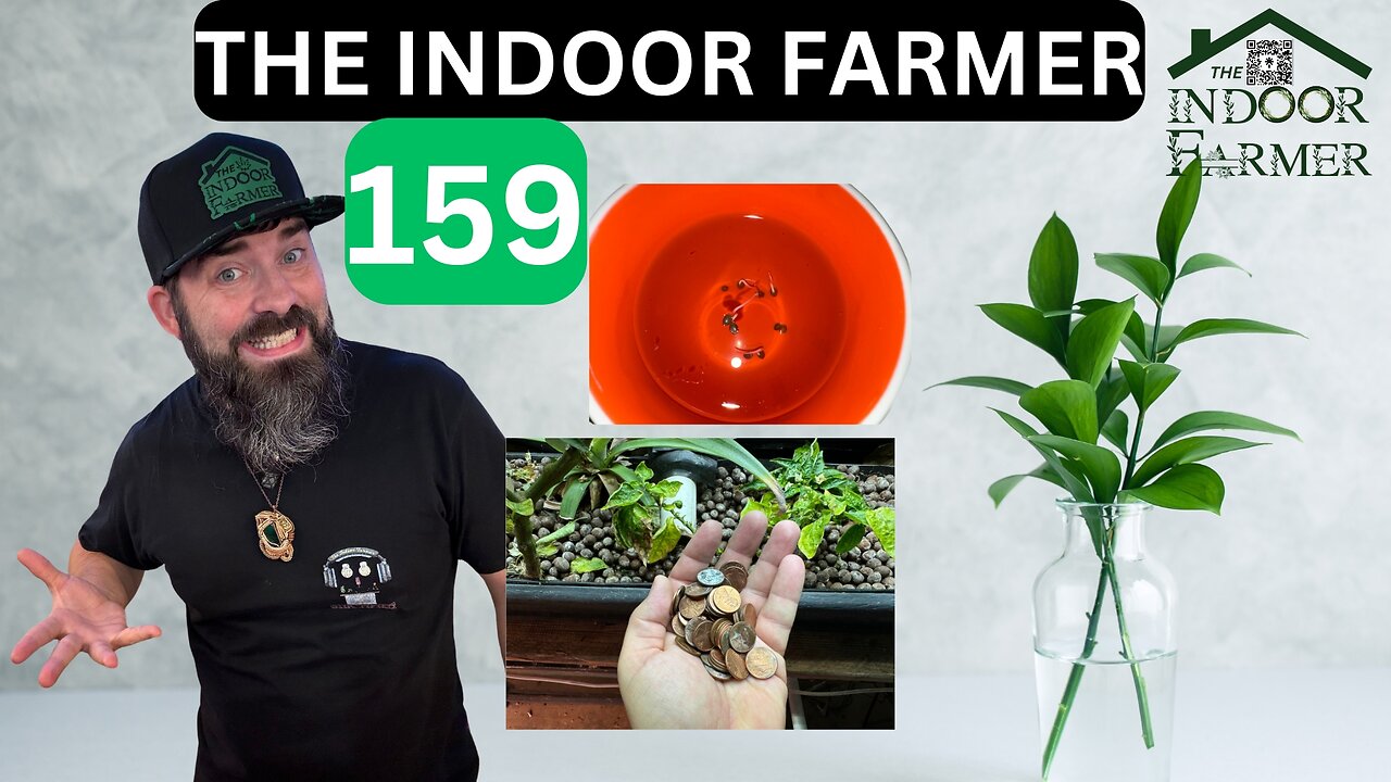 The Indoor Farmer ep 159, Copper Pennies & New Baby Seeds. Plus The Hat Wheel