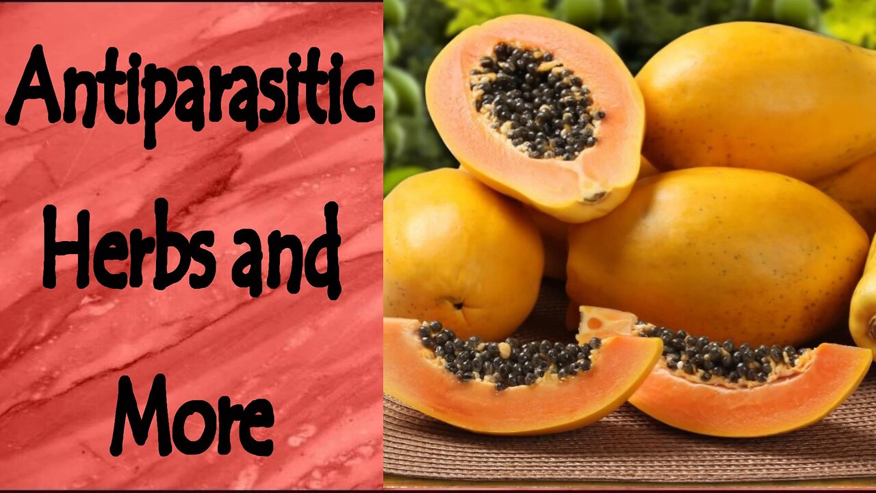 Antiparasitic Herbs, Foods, and More