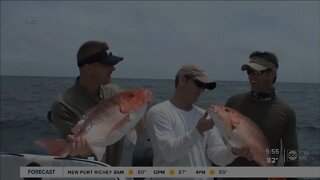 Recreational red snapper season starts Friday