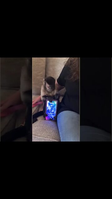 I got visitors!! And her phone is cool #shorts