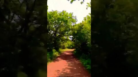 Dirt road to the Kildare Lodge PEI
