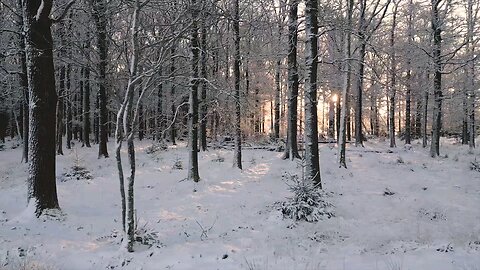 A snowy morning 🌄..