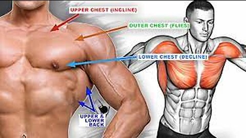 chest and back workout no equipment