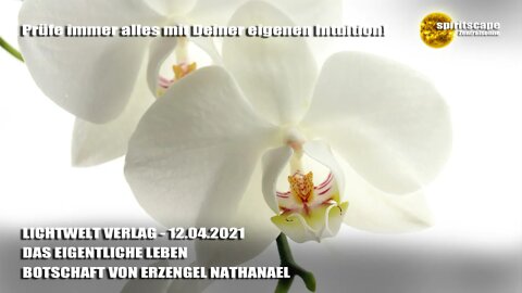 DAS EIGENTLICHE LEBEN - BOTSCHAFT VON ERZENGEL NATHANAEL - LWV