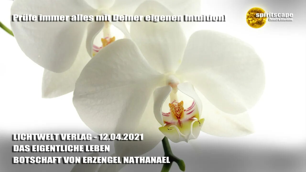 DAS EIGENTLICHE LEBEN - BOTSCHAFT VON ERZENGEL NATHANAEL - LWV