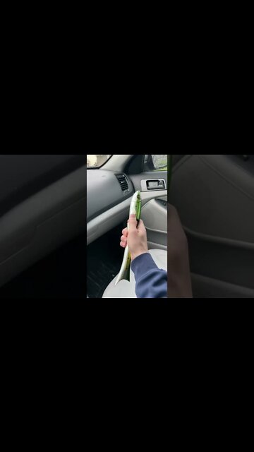 #shorts #2022 funny,prank,funjokes,dad jokes,funny memes,funny video,fun,laughing,funny animal,knock