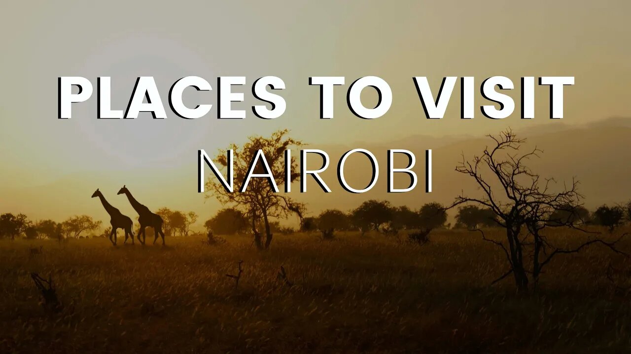 Top 8 Best Things to Do in Nairobi, Kenya