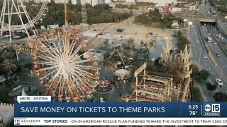 Save money on theme park tickets for the family