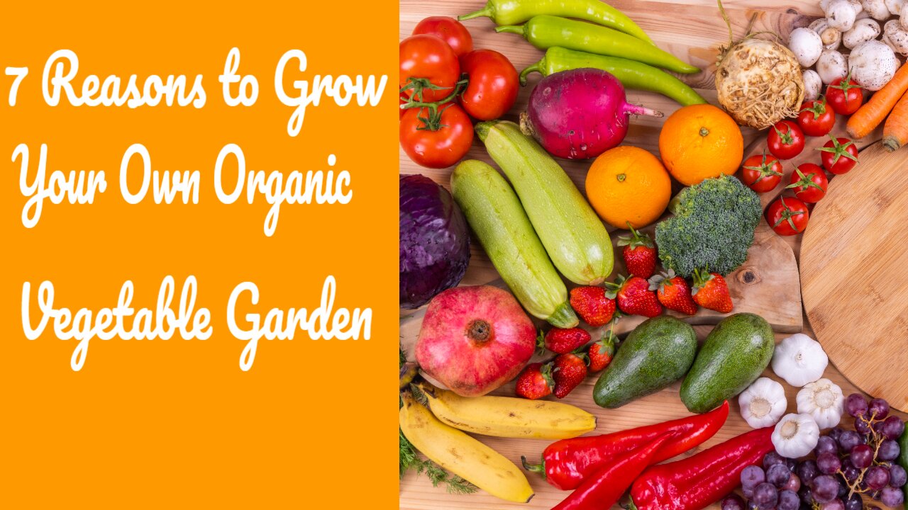 7 Reasons to Grow Your Own Organic Vegetable Garden