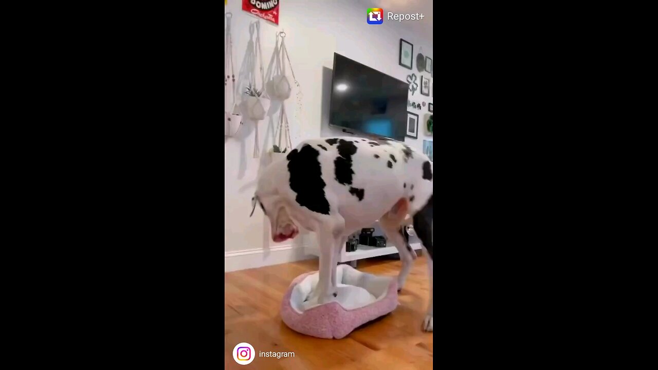 Aaaah. Perfect Fit