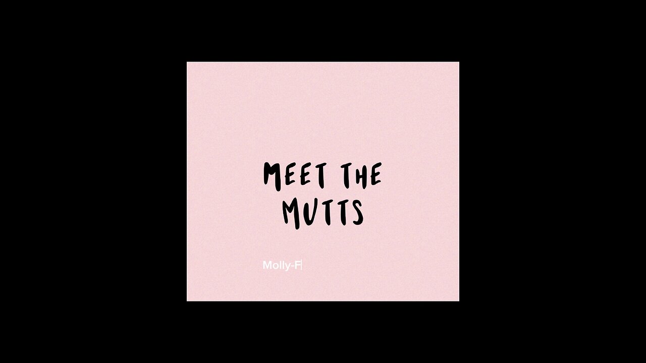 Meet the mutts!!