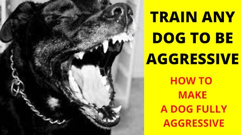 HOW TO MAKE A DOG BECOME FULLY AGGRESSIVE