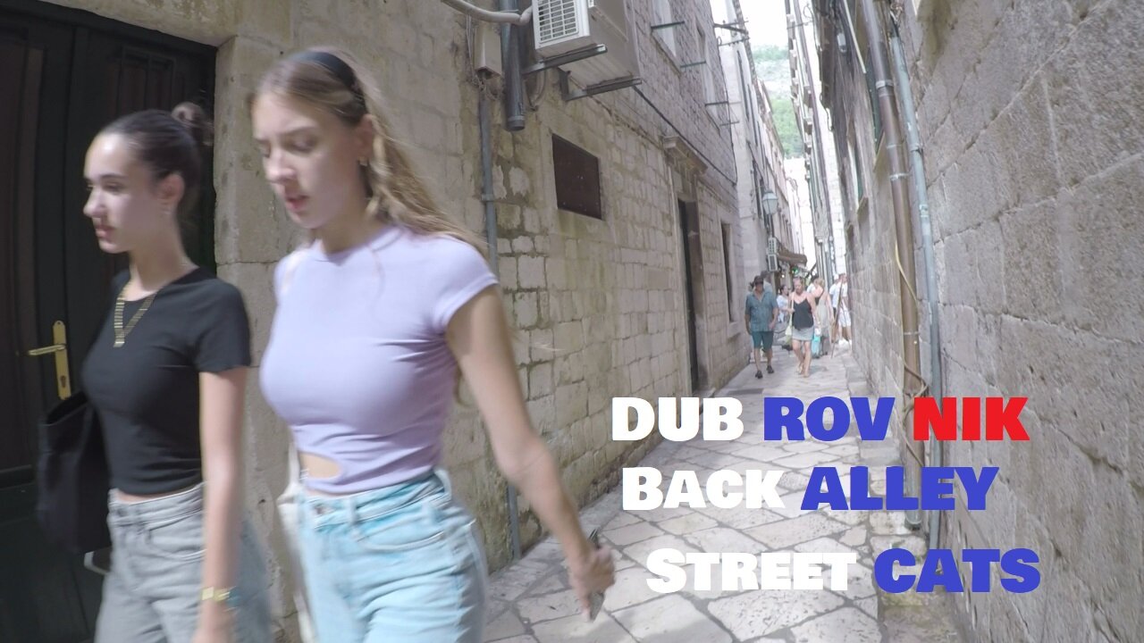 Lurking Dubrovnik secret Back Alleys for Stray Cats