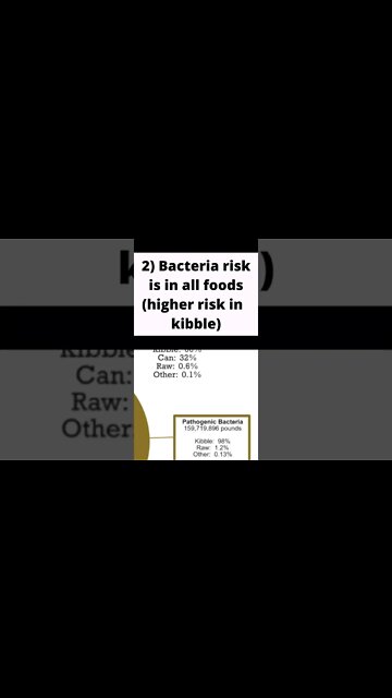 Switch your cat to raw today!🥩😺 #catcare #catfood