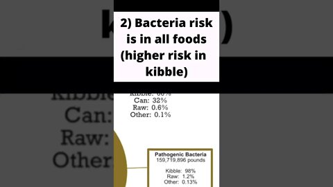 Switch your cat to raw today!🥩😺 #catcare #catfood