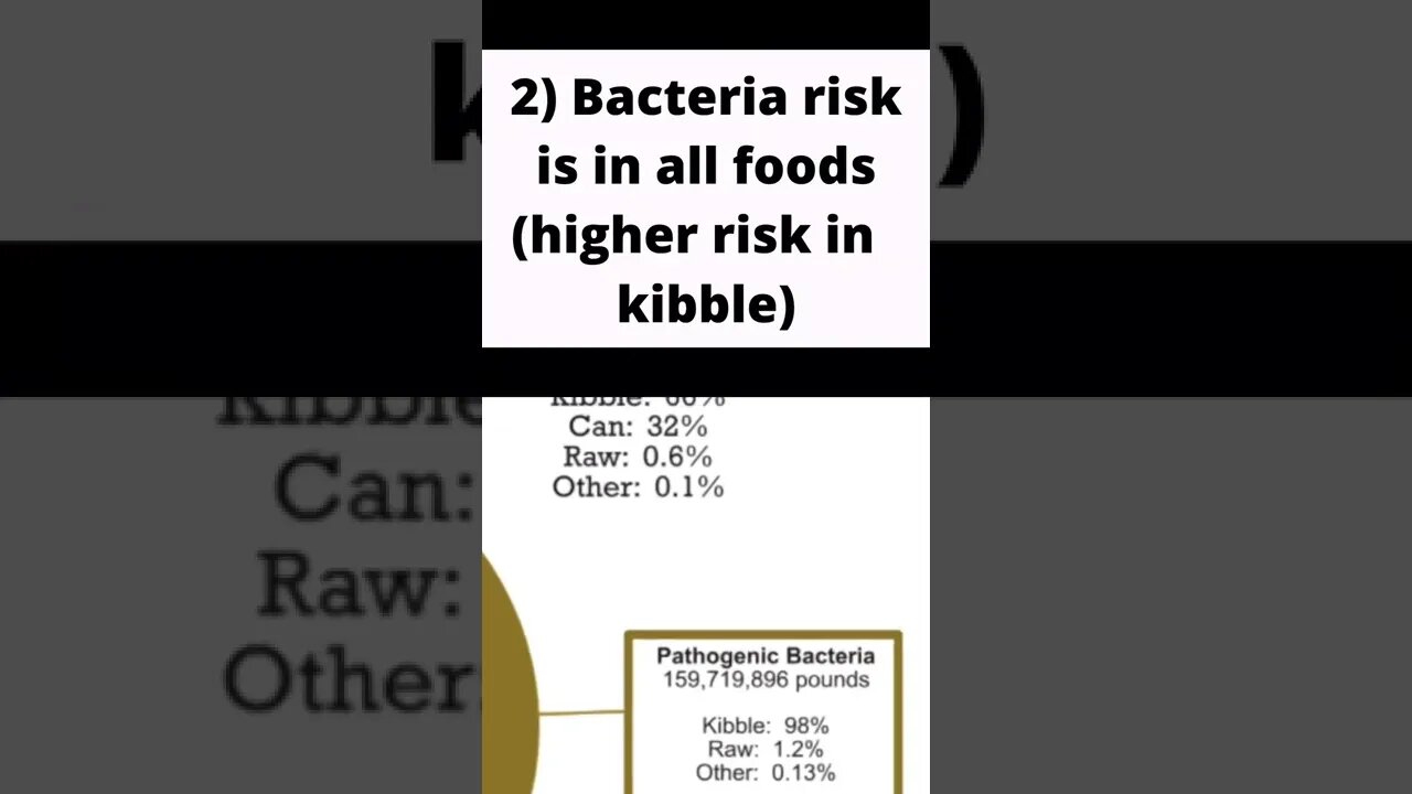 Switch your cat to raw today!🥩😺 #catcare #catfood