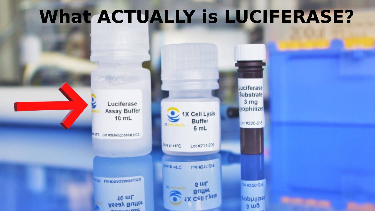 What Really is LUCIFERASE? And How Does it Connect With The Vaccine? EXPLAINED