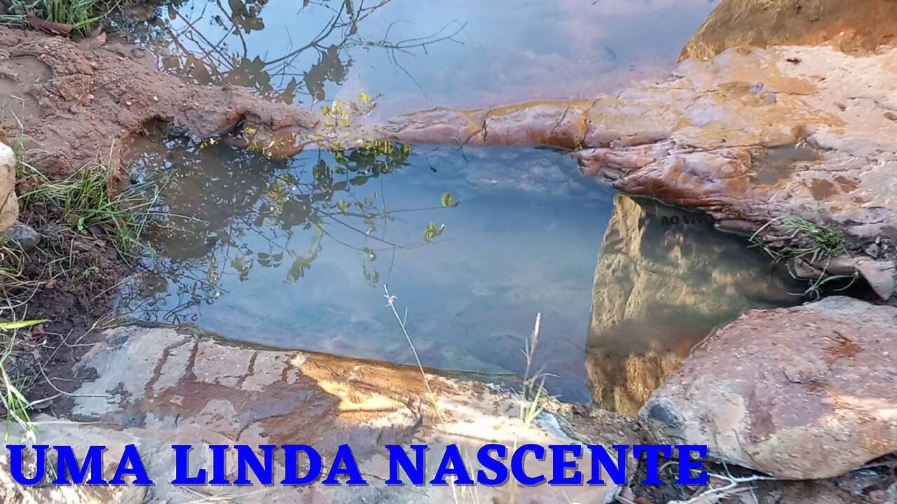 OLHO D'ÁGUA DAS CUTIAS NA ZONA RURAL DO GRAÇA-CE | RAIZES DO REI | BRASIL BR