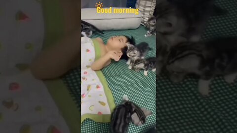 funny viral/ baby cat 🐈🐈🐈🐈❤️❤️🦴👄#short