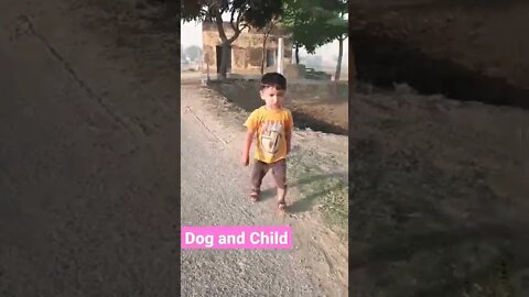 Dog with child short video #bestfamilybreed #rudrakrishna #ytshorts #rudrakhatanagurjjar #trending