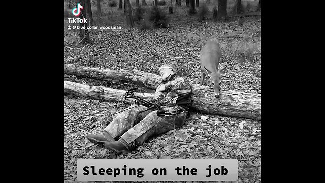 Sleeping on the job